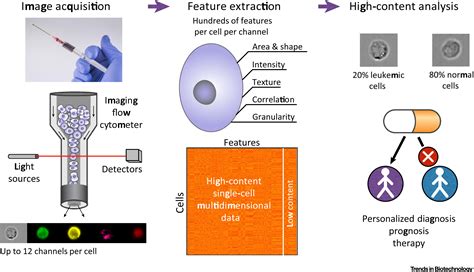 Diagnostic Potential Of Imaging Flow Cytometry Trends In Biotechnology