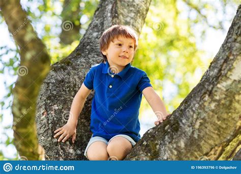 Happy Little Boy Climbing Tree At Park Stock Photo Image Of Person