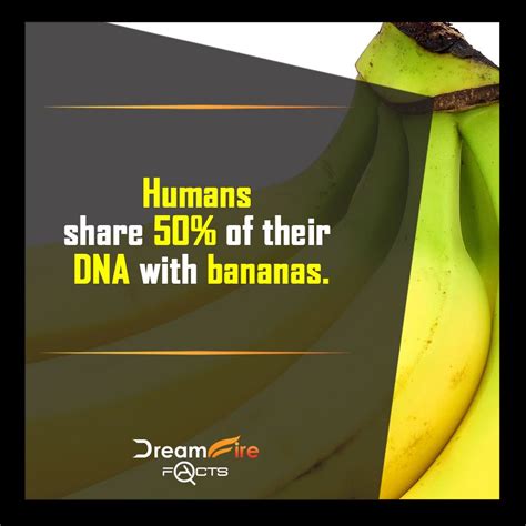 Humans Share 50 0of Their Dna With Bananas Banana Human Fruit