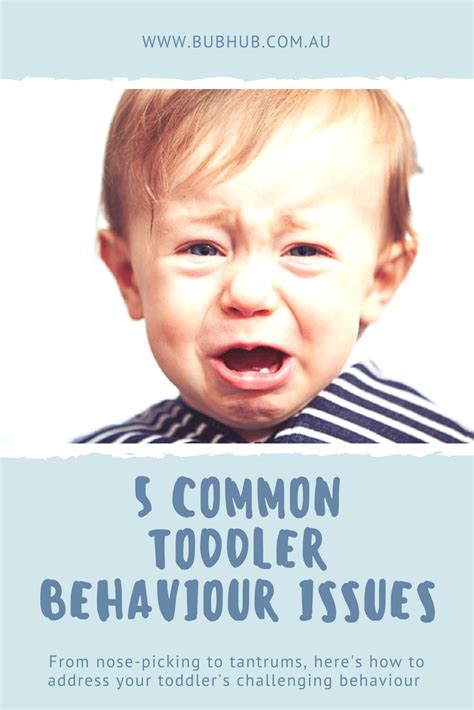 5 Common Toddler Behaviour Issues And How To Address Them Toddler