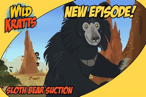 Wild Kratts |Sloth Bear| Wildlife | atelier-yuwa.ciao.jp