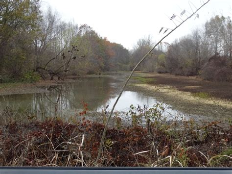 The species of animals hunted as game varies in different parts of the world and by different local jurisdictions, though most are mammals and birds. St Francis County Levee Farm