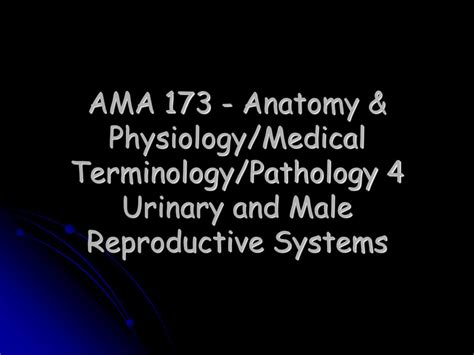Ppt Ama 173 Anatomy And Physiologymedical Terminologypathology 4