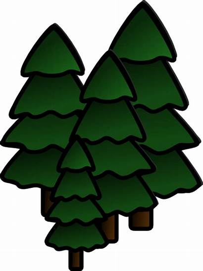 Redwood Clipart Tree Clip Trees Simple Forest
