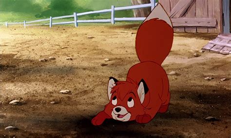 Baby Todd ~ The Fox And The Hound 1981 The Fox And The Hound Hound