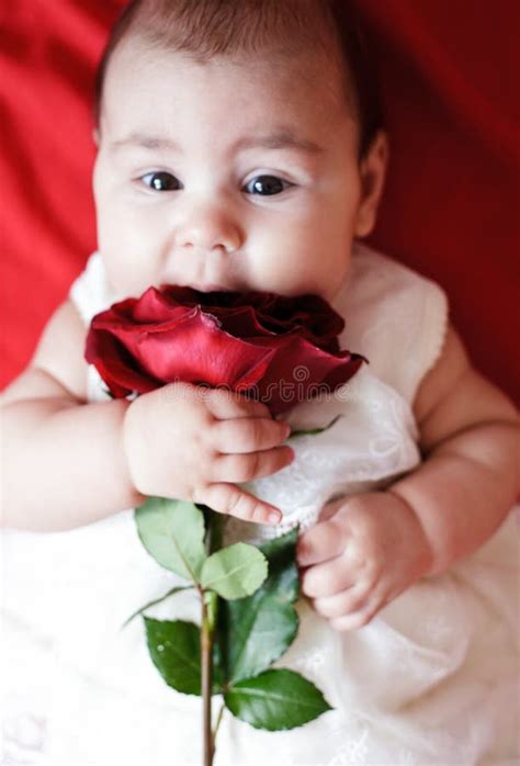Cute Girl With Red Rose Stock Image Image Of Body Happy 23754827