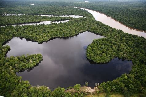 Youve Most Likely Heard Of This Place Called The Amazon Rainforest
