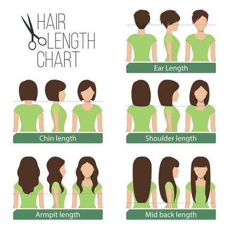 Womens Hair Lengths Explained Hair Lengths Hair Chart Hair Length