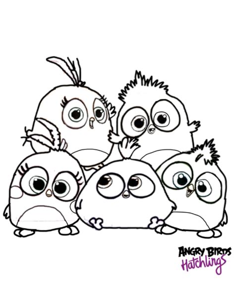 Coloring pages angry birds images ausmalbilder angry birds star #16284363. Angry Birds Hatchlings Coloring Page by ANGRYBIRDSTIFF on ...