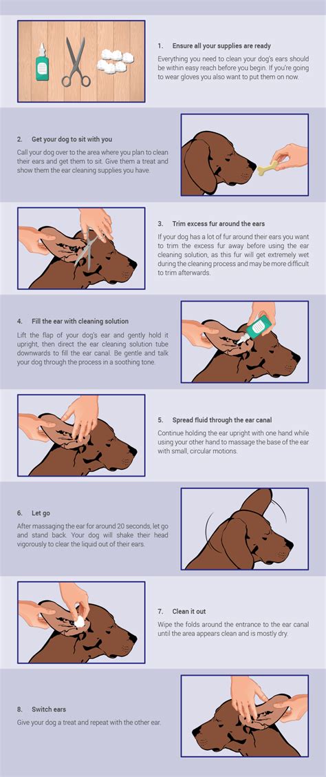 How To Clean Your Dogs Ears Montego