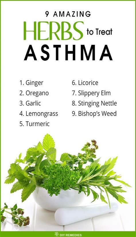 Herbs For Treating Asthma There Is No Complete Cure For Asthma We Can