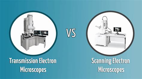 Sem Vs Tem Scanning Electron Microscope Electron Microscope Sexiz Pix