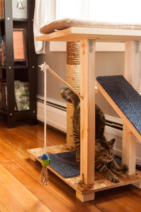 See more ideas about cat diy, cat room, diy stuffed animals. Our DIY cat condo | Bricolage pour chat, Mobilier pour ...