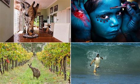 National Geographic Traveler Photo Contest 2014s Sensational Entries