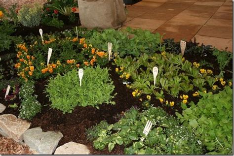 Edible Landscaping Ideas At The 2011 San Francisco Garden Show ⋆ North