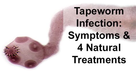 Tapeworm Infection Symptoms And 4 Natural Treatments David Avocado Wolfe