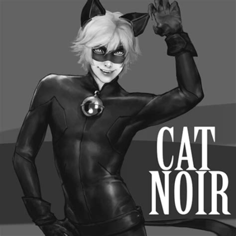 8tracks radio cat noir 23 songs free and music playlist