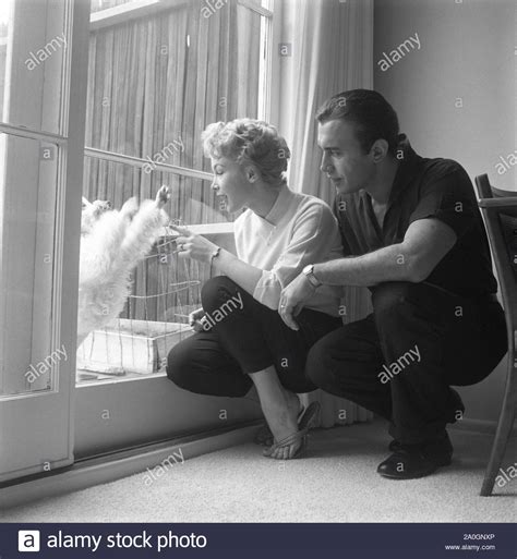 1958 Barbara Eden And Husband Michael Ansara At Home Stock Photo