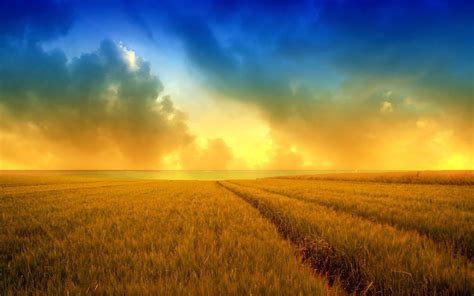 Cloudy Sunset Over Wheat Field Image Id 299005 Image Abyss