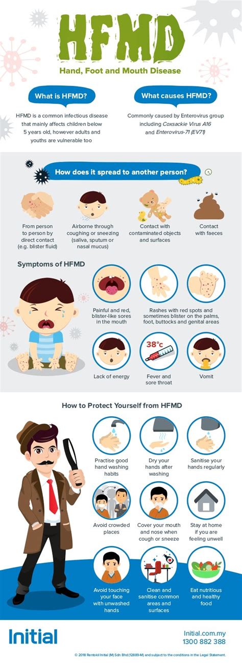 Infographic Hand Foot And Mouth Disease Hfmd