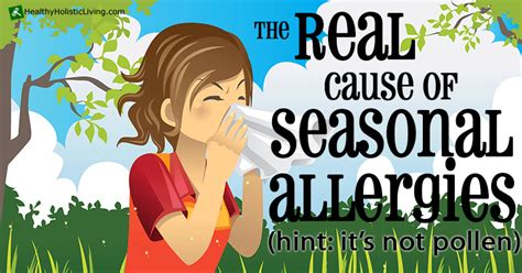 The Real Cause Of Seasonal Allergies Hint Its Not Pollen
