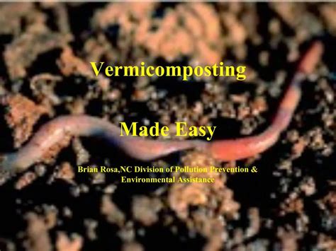 Ppt Vermicomposting Powerpoint Presentation Free Download Id544169