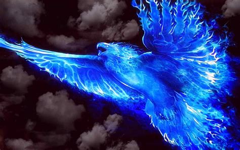 Blue Phoenix Wallpapers Wallpaper Cave