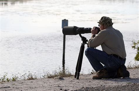 the 9 best tripods for birds and wildlife photography