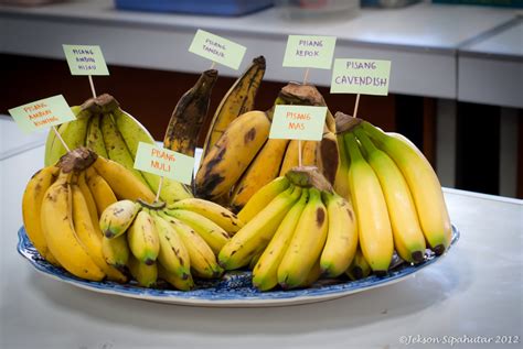 The History Of Bananas Banana The Fruit That Changed The World