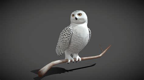 3d Model Low Poly Snowy Owl Idle Animated Vr Ar Low Poly Rigged