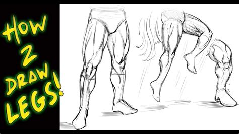 Leg Muscle Drawing