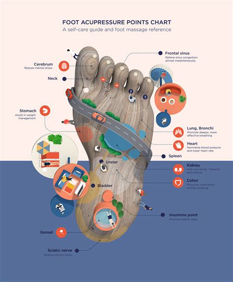 Manipulate the illuminated sea point. Foot Acupressure Points for Foot Massage Infographic ...