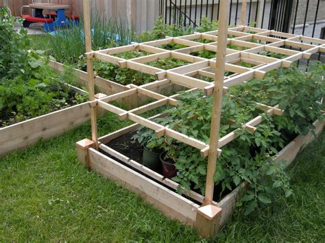 Garden Update Tomato Trellis Raised Vegetable Gardens Raised Bed