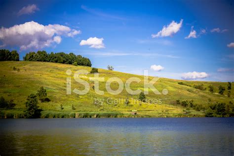 Summer Rural Landscape With The Lake Rolling Hills Trees Stock Photo