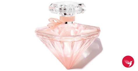 La Nuit Tresor Nude Lancome Parfum Un Nouveau Parfum Pour Femme