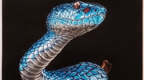 Drawing Snake Easy Blue Pit Viper Snake Drawing Ft Bedabrata