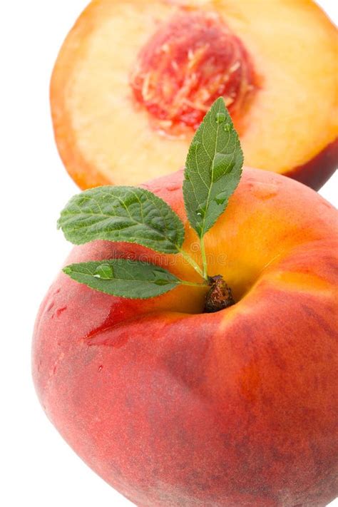 Sweet Peach Stock Image Image Of Orange Meals Isolated 15841469