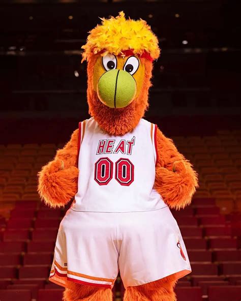 Miami Heat Mascot Salary And Highest Paid Mascots In Nba