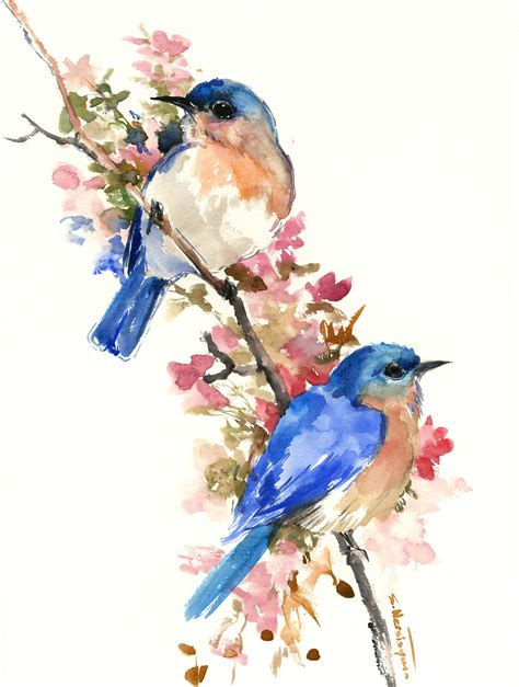 Bird Watercolor Paintings Watercolor Paintings For Beginners