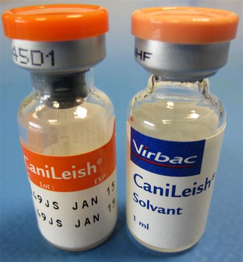 Vaccin Leishmaniose