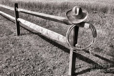 Old Cowboy Hat On Fence Photograph By Olivier Le Queinec Fine Art America