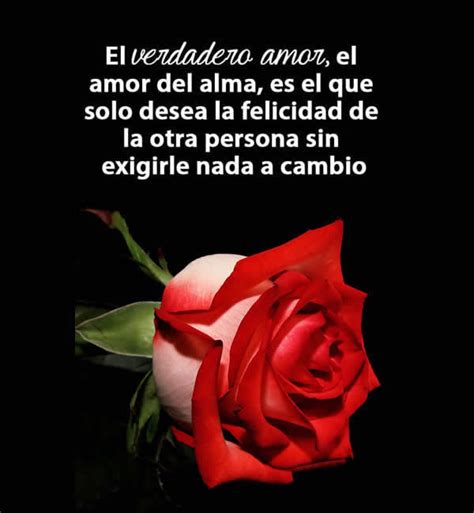 Im Genes De Rosas Rojas Con Frases De Amor Informaci N Im Genes