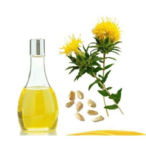 Safflower Oil Benefits Uses And Side Effects Health Care Benefits Of