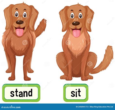Opposite Words For Stand And Sit Stock Vector Illustration Of Letter