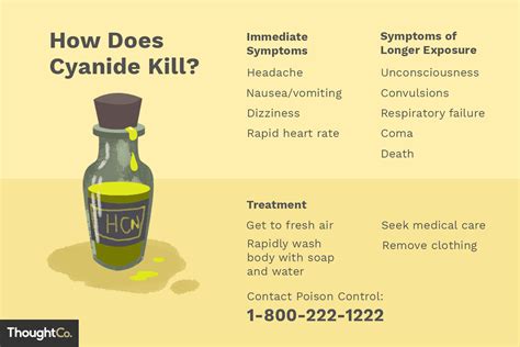 The Chemistry Of Cyanide Poisoning And Why It Kills