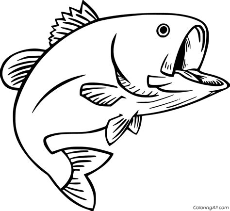 Free printable bass fish coloring page. Bass Coloring Pages in 2020 | Coloring pages, Fish ...