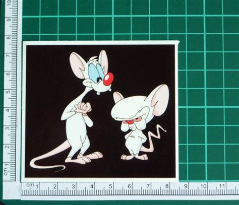 Pinky And The Brain Animaniacs Sticker Decal By Thestickergal 3 00 Pinky Etsy Animaniacs