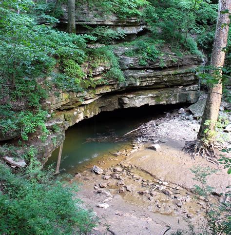 Mammoth Cave National Park River Styx Spring Mammoth Cave National
