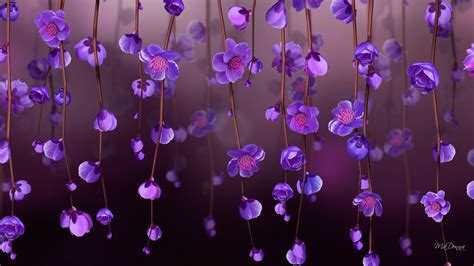 Download Purple Flower Vine Flower Nature Blossom Hd Wallpaper By Ma Donna