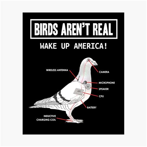 Birds Aren't Real - AFFABULAZIONI